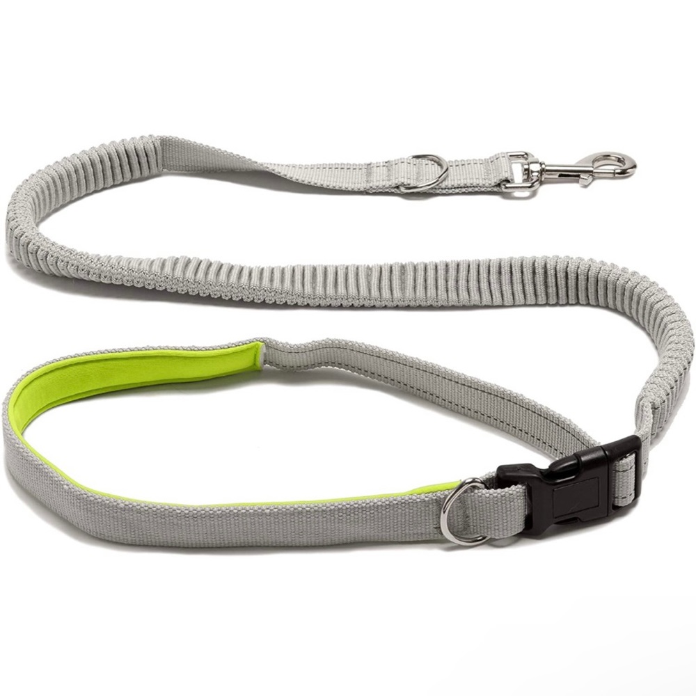 EZ Buckle Quick Tether Adjustable Bungee Dog Leash